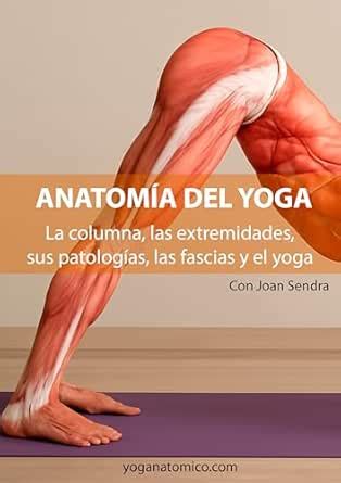 Anatomía del Yoga: La columna, las extremidades, sus patologías, las ...