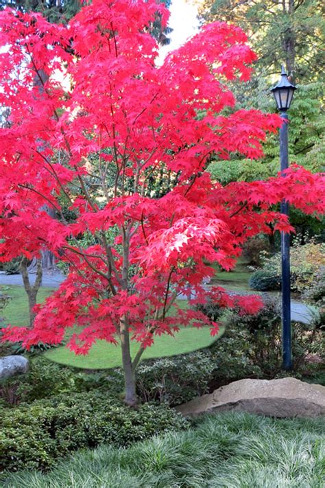 Image result for Healenium Using Docker in Selenium Java