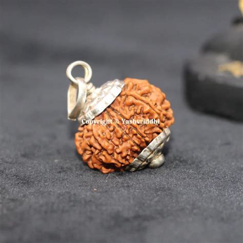 9 Mukhi Rudraksha Pendant Original Nepali Beads– YASHVRIDDHI