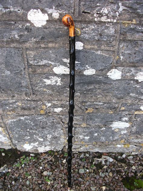 Irish Walking Stick at Ricky Payne blog