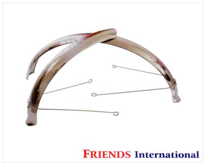 Welcome to Friends International