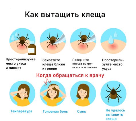 Что делать если укусил клещ