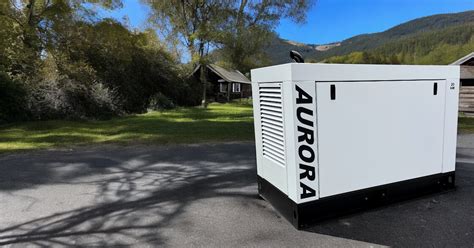 Image result for Generac Program Exercise Time