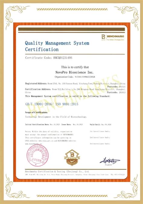 ppR3 Vector 的图像结果