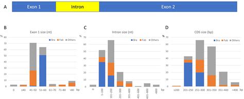 A Comprehensive Analysis of Short Specific Tissue (SST) Proteins, a New ...