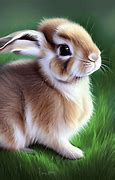 Image result for Baby Bunny Love