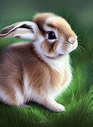 Image result for 4 Baby Bunny's