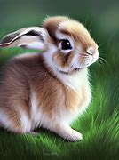 Image result for Cute Baby Bunny with Carrot