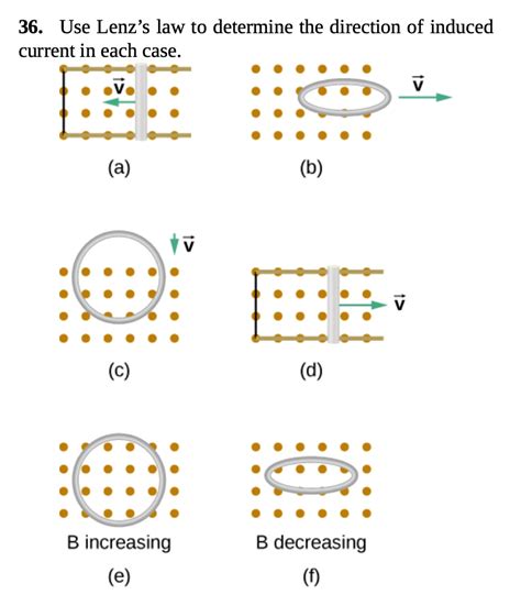 Lenz Law 的图像结果