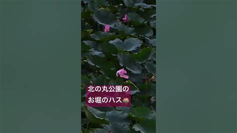 Image result for Android Control Apps