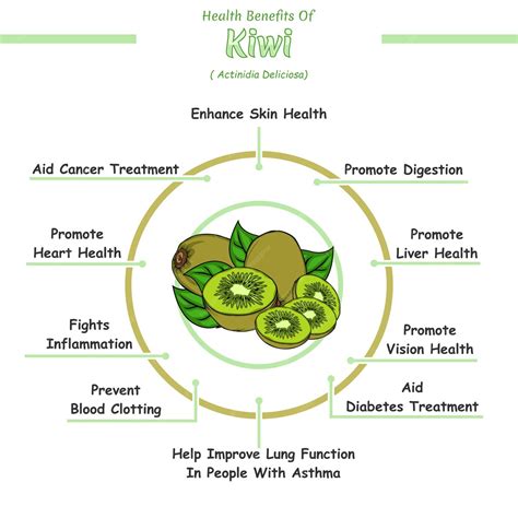 Premium Vector | Health benefits of kiwi