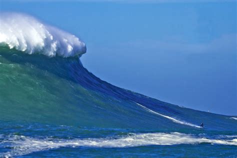 Image result for Wave Button Animation. CSS
