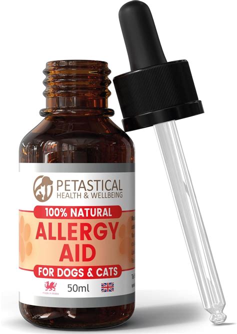 Cats And Antihistamines