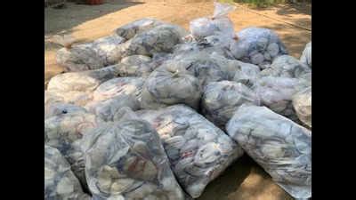 Used masks, washed & ironed for sale, seized from Virar | Mumbai News ...