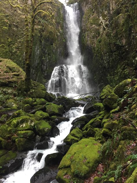 One of the lower Kentucky Falls, Oregon Coast Range. [3264x2448][OC ...