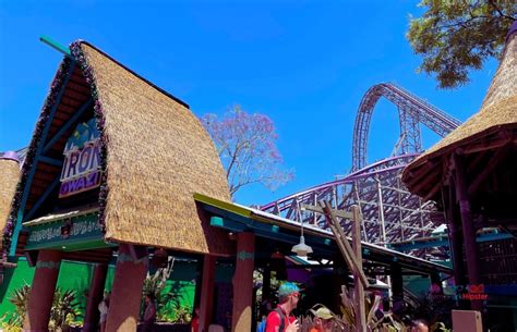 Busch gardens tampa itinerary how to plan the perfect trip - Artofit