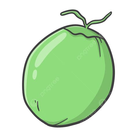 Green Coconut Clip Art