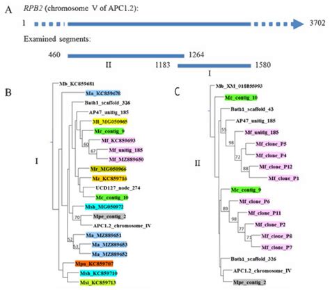 Taxonomy | March 2022 - Browse Articles