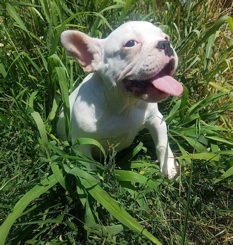 Meet Brisbane, the newest member of the fam! | Scrolller