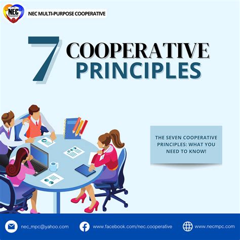 Co-operative Principles 的图像结果