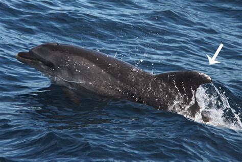 Ein Nachmittag mit unerwarteten Begegnungen