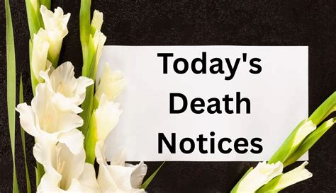 Today's Death Notices: Tributes in Portsmouth
