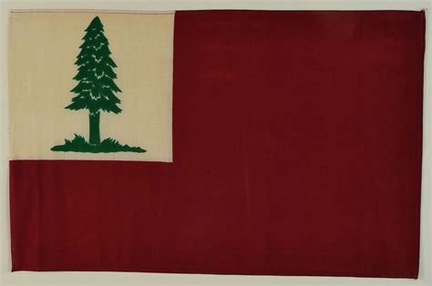 Vintage Bunker Hill Flag