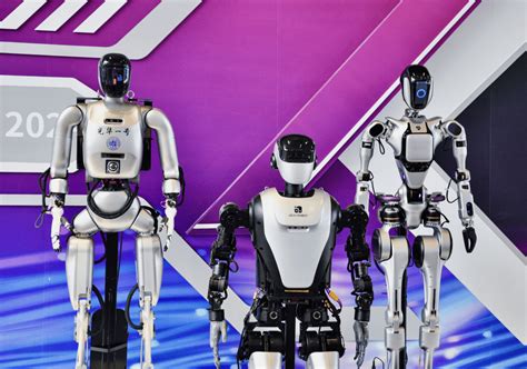 Chinese Robot 的图像结果