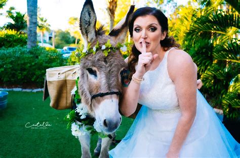 Animal Bride 的图像结果