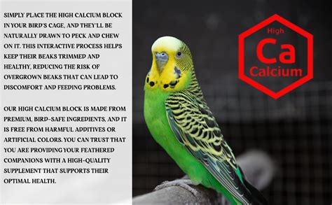 Buy CONGO - NATURAL PARROT TREAT High Calcium Block for Birds | Bird ...