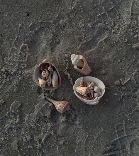 Ashley Michelle Suarez (@aashleysuarez) • Instagram photos and videos