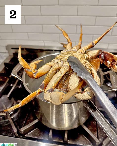 18 Delicious Ideas for What to Do with Dungeness Crab