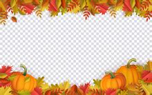 Image result for Biology Templates for PowerPoint