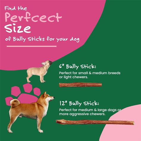 Willow&I Bully Sticks for Dogs -12 Inch Natural India | Ubuy
