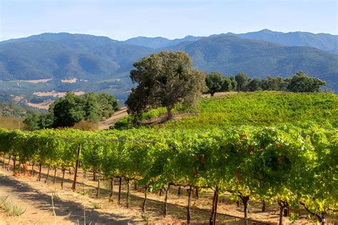 The Best Wineries to Visit in Carmel-by-the-Sea | Wine Enthusiast