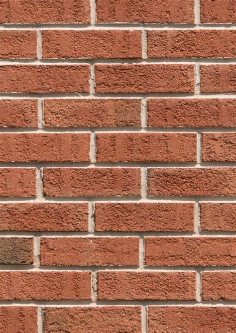 Brick Color Samples 的图像结果