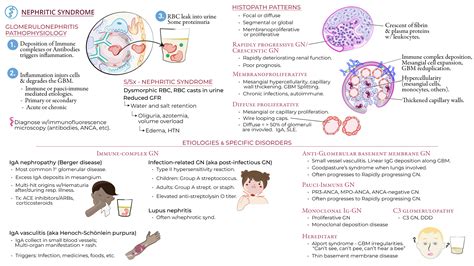 Clinical Pathology: Nephritic Syndrome & Glomerulonephritis | ditki ...