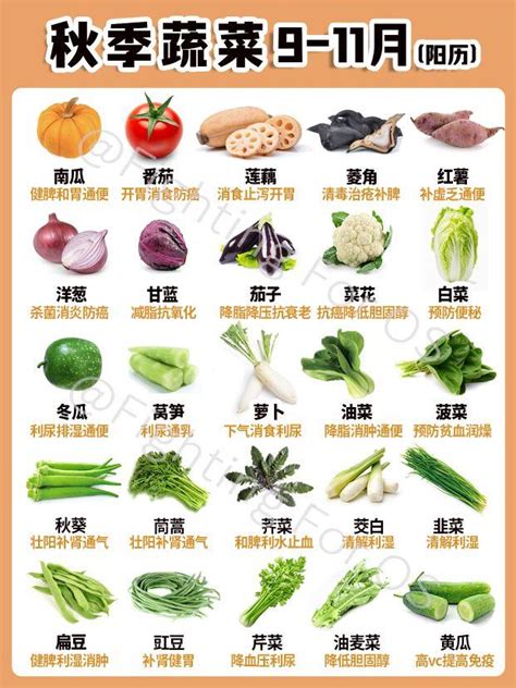 十一月份適合種植的蔬菜有哪些？ - 每日頭條