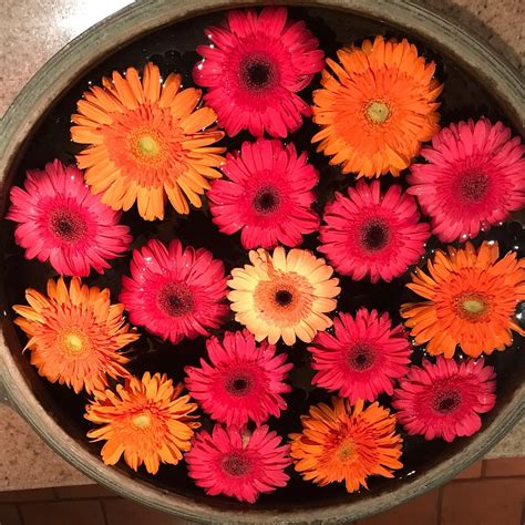 LE COLONIAL (Kochi (Cochin), Kerala) - Hotel Reviews, Photos, Rate ...