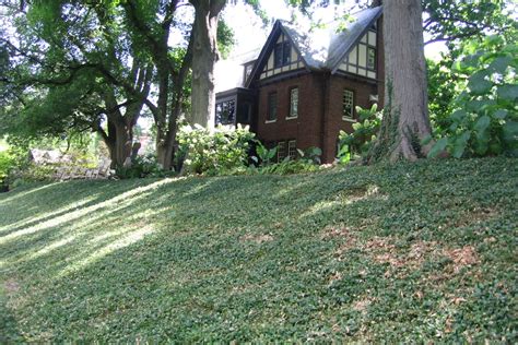 How To Landscape A Steep Hill