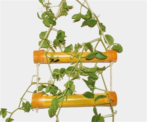 NAOE Wood Hanging Planter, White, Brown, 40 x 5 cm : Amazon.in: Garden ...