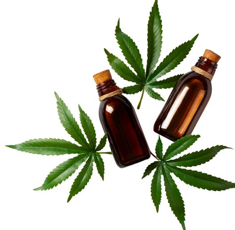 What Is Butane Hash Oil (BHO) In Cannabis? | Utah Canna