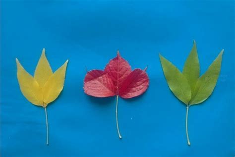用树叶制作美丽的秋天风景拼贴画 漂亮的一幅画 肉丁儿童网
