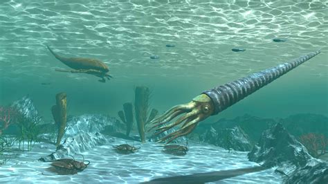 Ordovician Period: Facts, Information, and Timeline - A-Z Animals