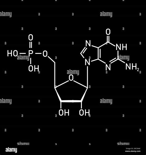 Chemical structure of DNA nucleotide. Three parts of a nucleotide. Phosphate group, pentose ...