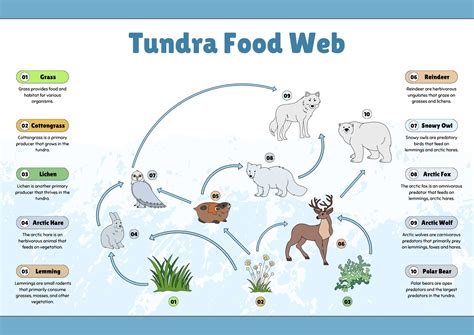 Page 13 - Free and customizable reindeer templates