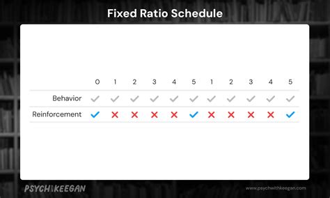 Reinforcement & Punishment, Explained! - Pysch with Keegan
