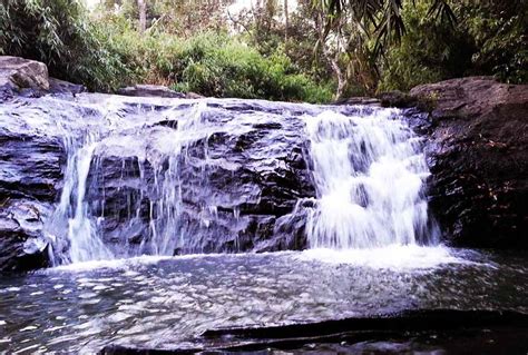 Blog: Forest Homestay - Gowdahalli - Chikmagalur | Sakleshpura ...