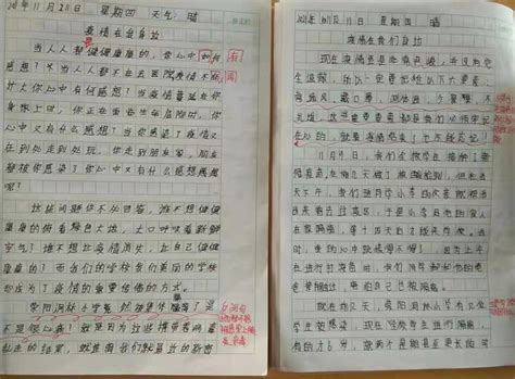 关于疫情的作文800字议论文（关于疫情的作文800字）_大学教育网