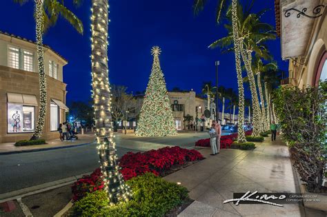 Worth Avenue Christmas Tree Palm Beach Island | HDR Photography by ...